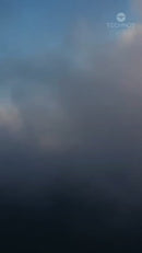 Kit Technos Masculino Acqua Dourado Edição Especial Torben Grael